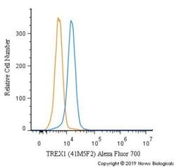 TREX1 Antibody (41M5F2) - Azide and BSA Free, Novus Biologicals 0.1 mg | Buy Online | Novus Biologicals | Fisher Scientific